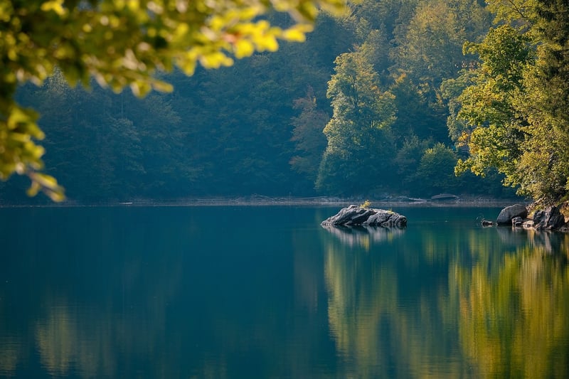 Calming Workout Image